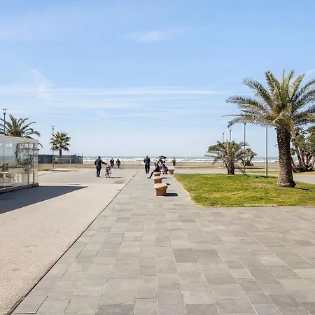 Fronte Mare - - Movida Viareggio